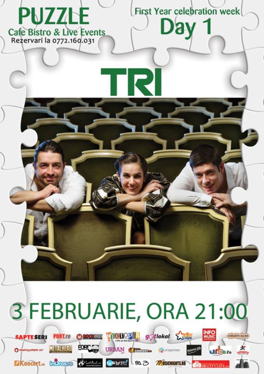 Concert Tri - 3 februarie 2014, Puzzle, Bucuresti