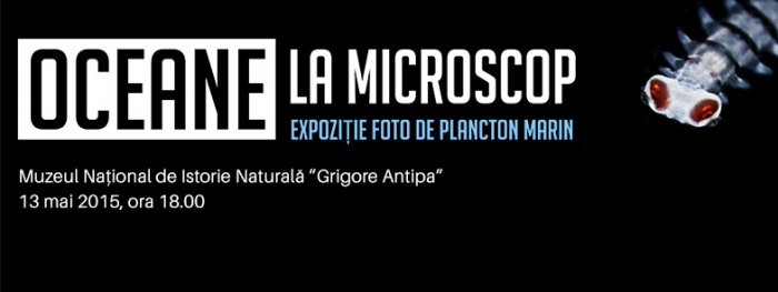 Oceane La Microscop - Vernisaj expozitie