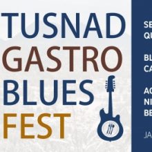 Tușnad Gastro Blues Festival – program, trupe și pensiuni participante