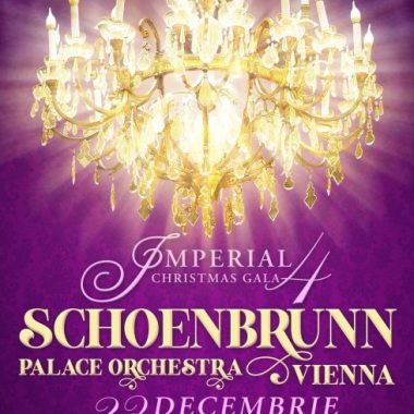 Reguli de acces şi conduită la concertele Schoenbrunn Palace Orchestra Vienna sub egida Imperial Christmas Gala IV