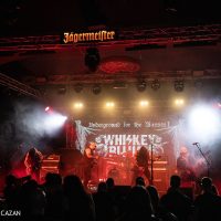 Whiskey Ritual, Underground for the Masses